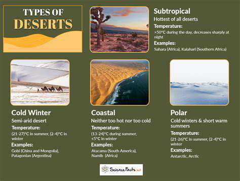 BeyondtheSandDunes:DiverseDesertTypes