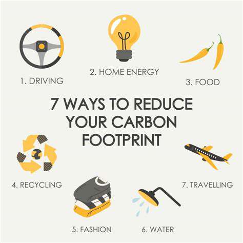 CarbonFootprintReductionStrategies
