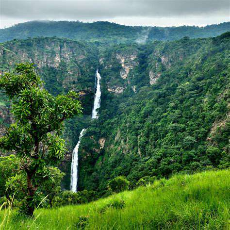Majestic Waterfalls: Nature's Breathtaking Displays