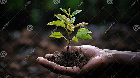 PlantingSeedsofEnvironmentalAwareness:TheImportanceofEarlyEducation