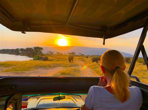 TheGrowingDemandforSustainableSafariExperiences
