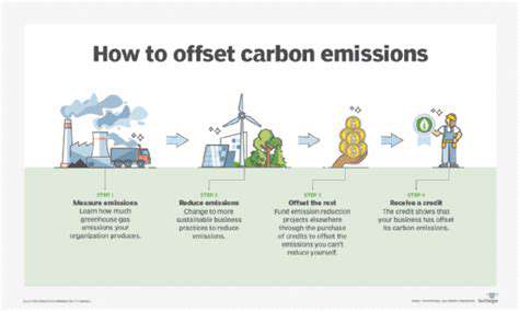 Offsetting Your Carbon Emissions: A Traveler's Guide