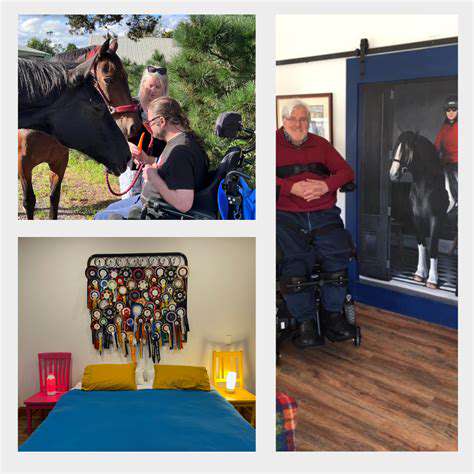 AVarietyofExperiences:FarmStays,Workshops,andMore