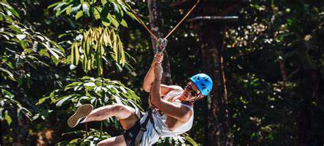 Ziplining Adventures: Soaring Through the Air with Excitement