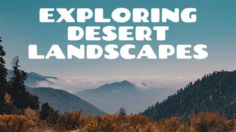 ExploringtheDiverseLandscapesoftheDesert:FromSandDunestoMountainRanges