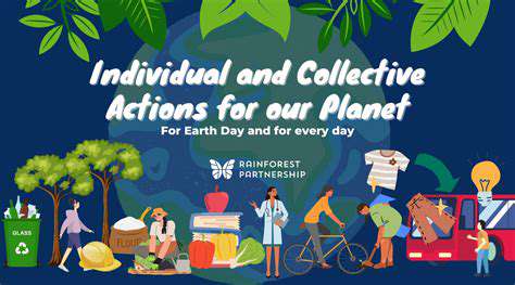 The Impact of Your Transportation Choices on the Environment