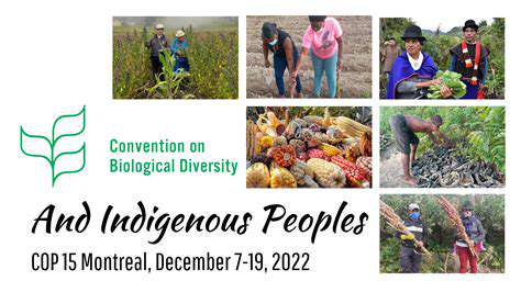 Promoting Biodiversity Through Sustainable Travel