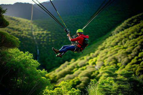 UnveilingtheThrillofZiplining:AHigh-FlyingExperience