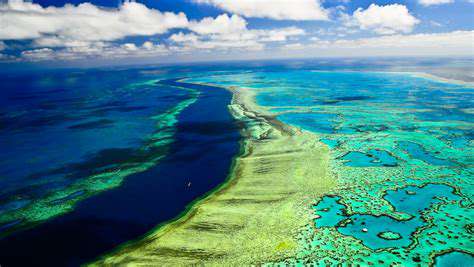 TheGreatBarrierReef:ANaturalWonder