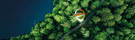 Green Airport Initiatives: Sustainable Aviation