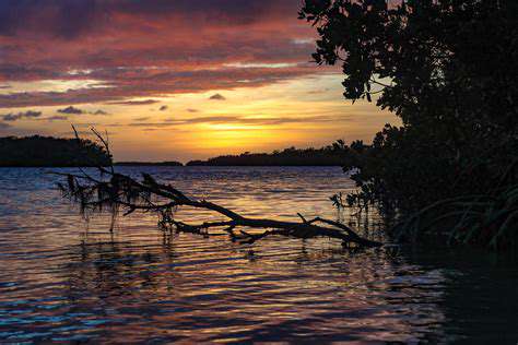 IslandParadisesandPristineSkies:CoastalGetawaysforStargazers